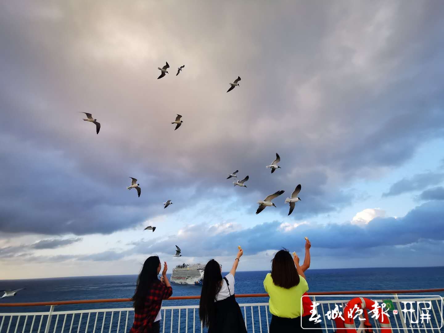 我的2020 | 穿越半个地球回家