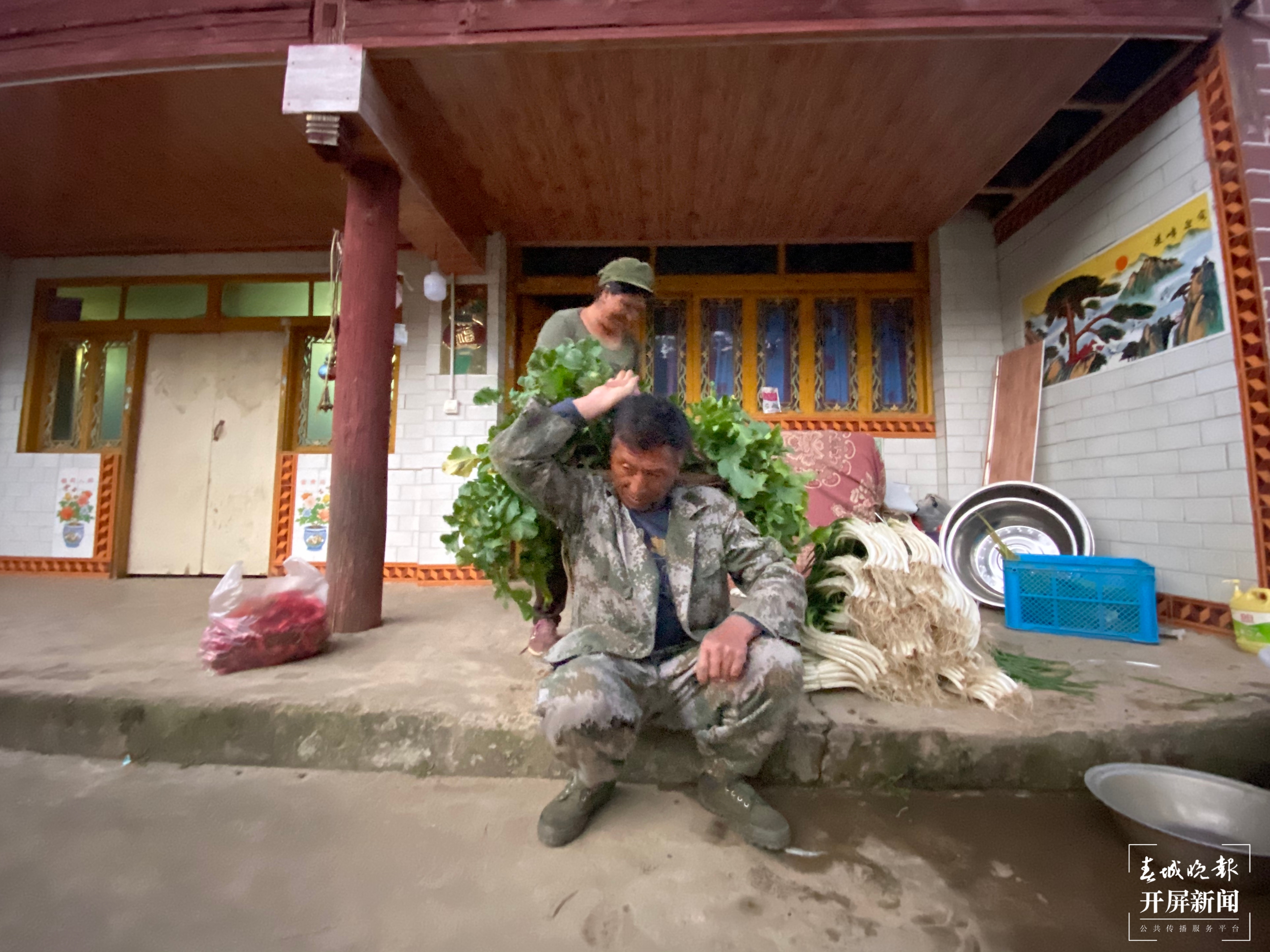 【2020迪庆故事】蔬菜大棚“种”出幸福生活  和继泉（春城晚报-开屏新闻记者 木晓雯 周柯妤 王宇衡 摄影报道）4.jpg