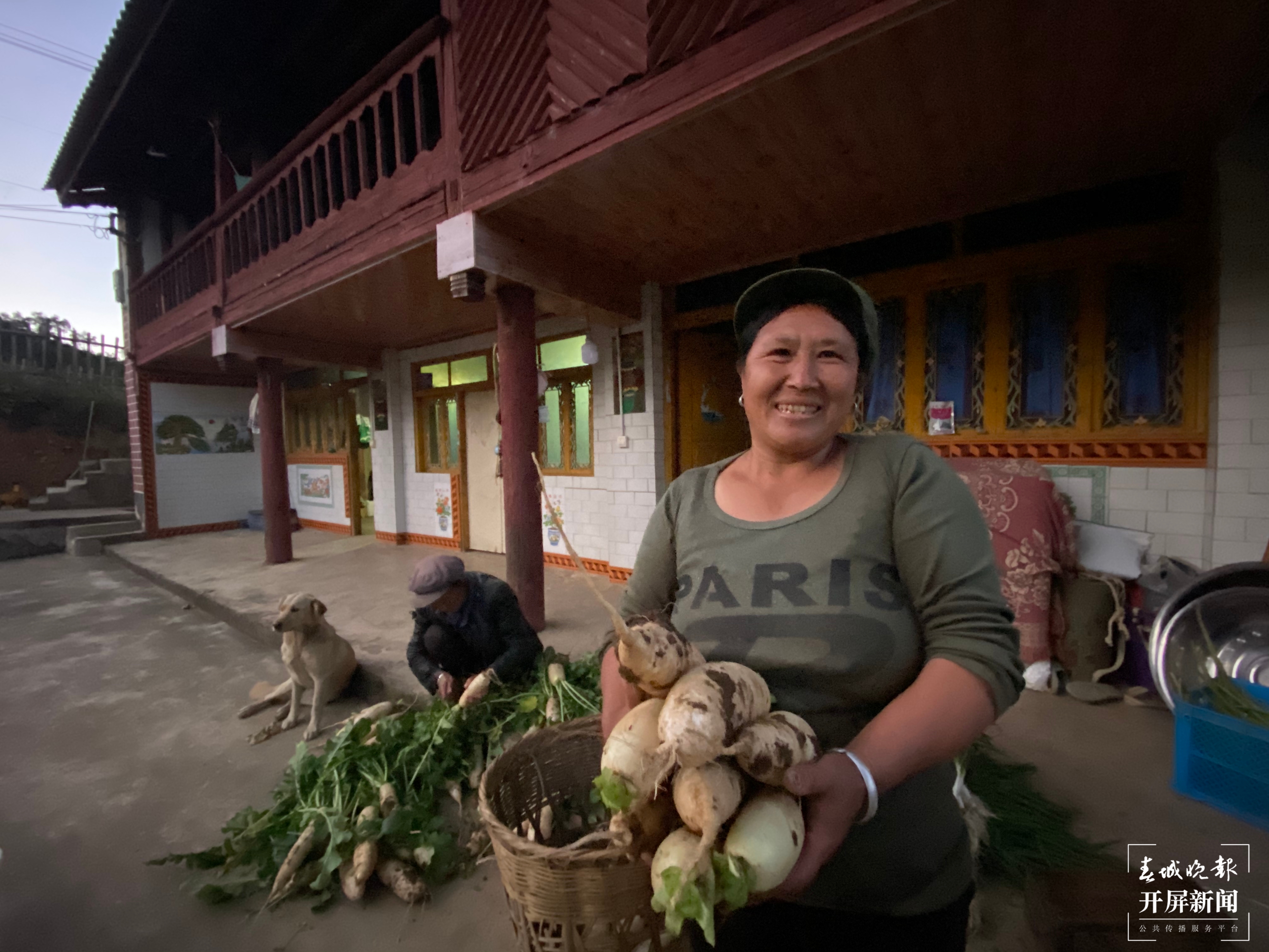 【2020迪庆故事】蔬菜大棚“种”出幸福生活  和继泉（春城晚报-开屏新闻记者 木晓雯 周柯妤 王宇衡 摄影报道）2.jpg