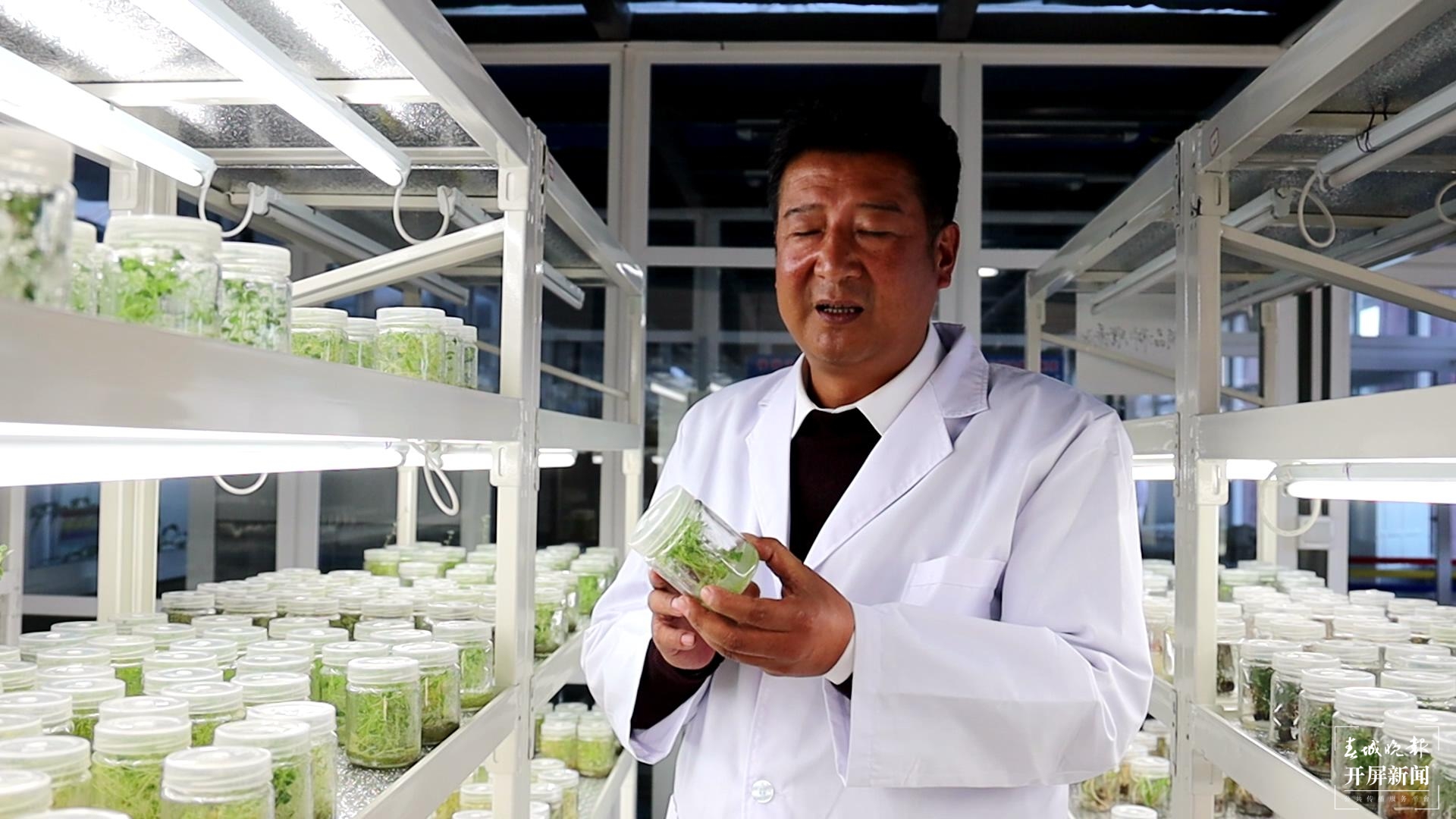 【2020迪庆故事】蔬菜大棚“种”出幸福生活  和继泉（春城晚报-开屏新闻记者 木晓雯 周柯妤 王宇衡 摄影报道）8.jpg