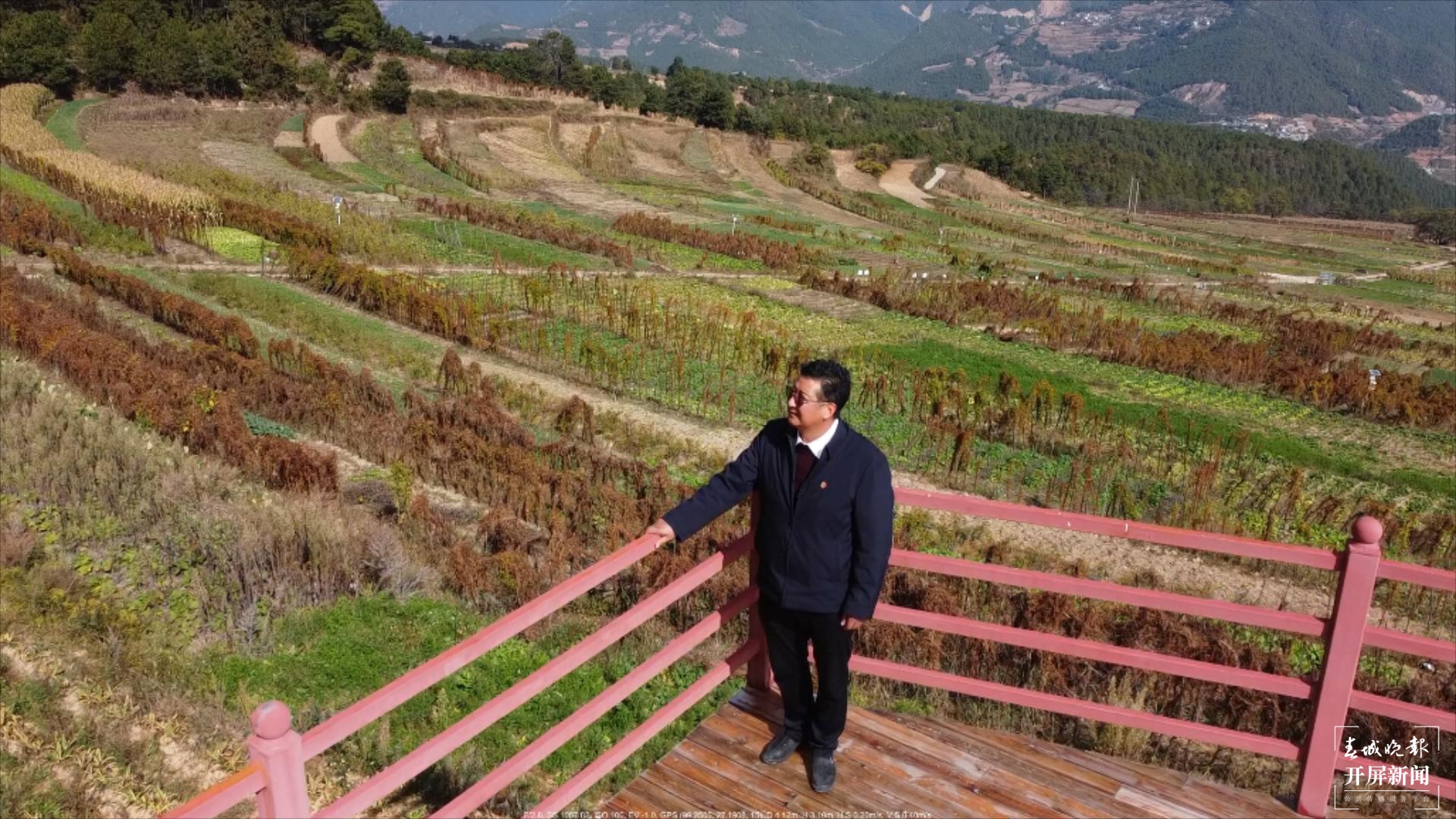 【2020迪庆故事】蔬菜大棚“种”出幸福生活  和继泉（春城晚报-开屏新闻记者 木晓雯 周柯妤 王宇衡 摄影报道）9.jpg