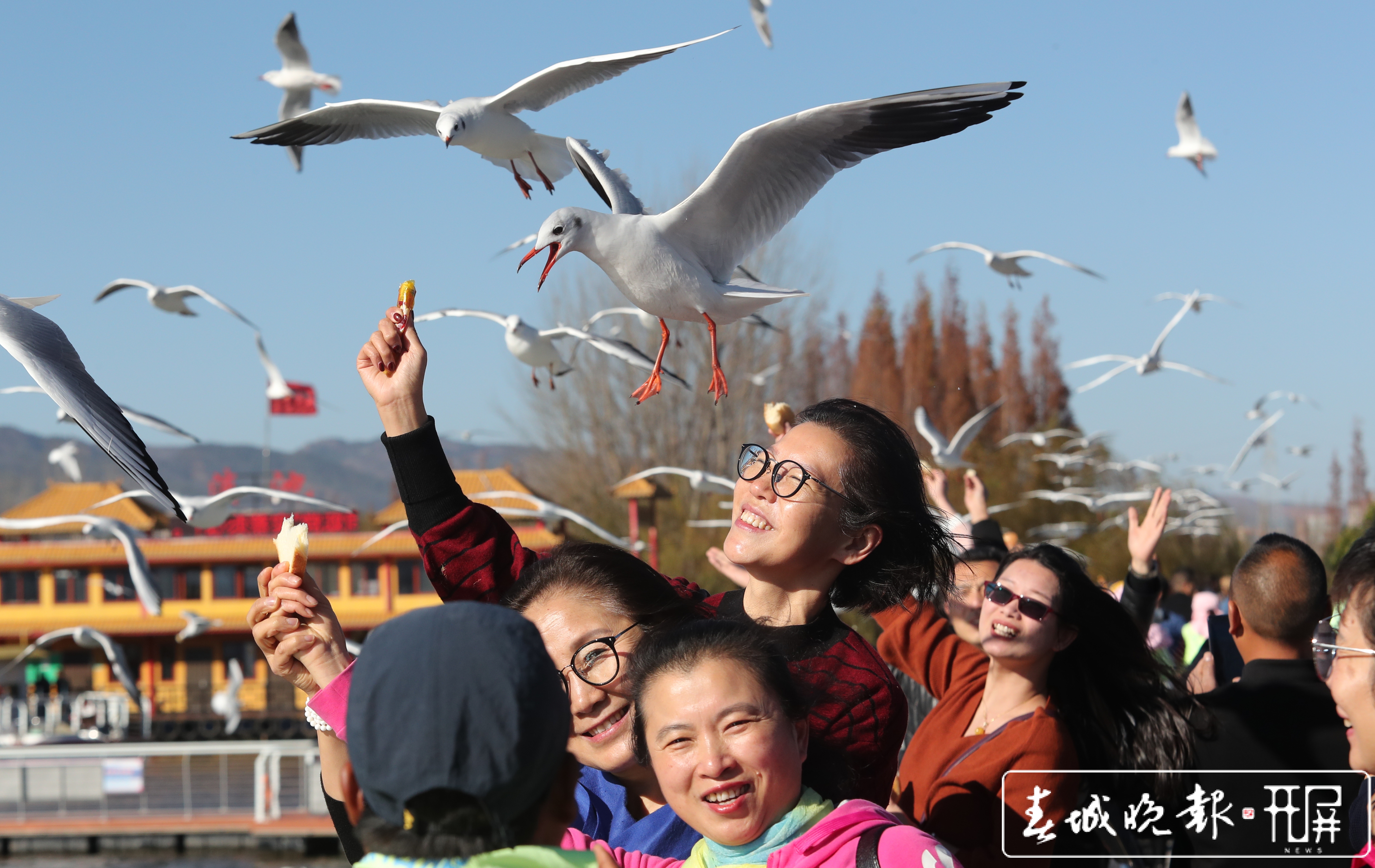 昆明（张彤 杨峥 摄）