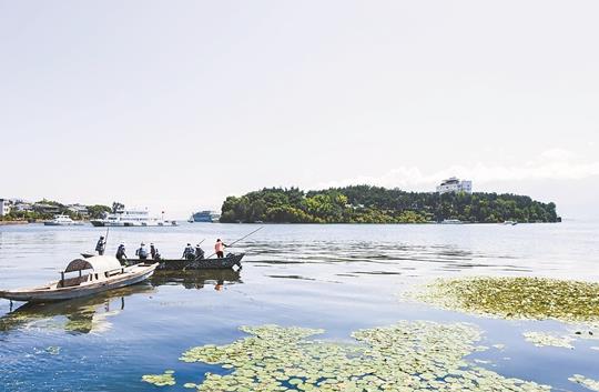 大理：担当实干砥砺前行