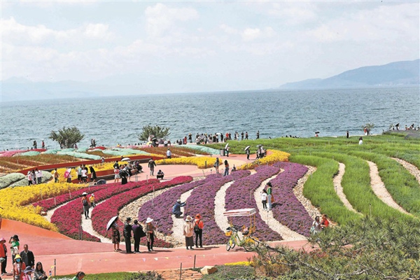 2021云南省两会●聚焦政府工作报告