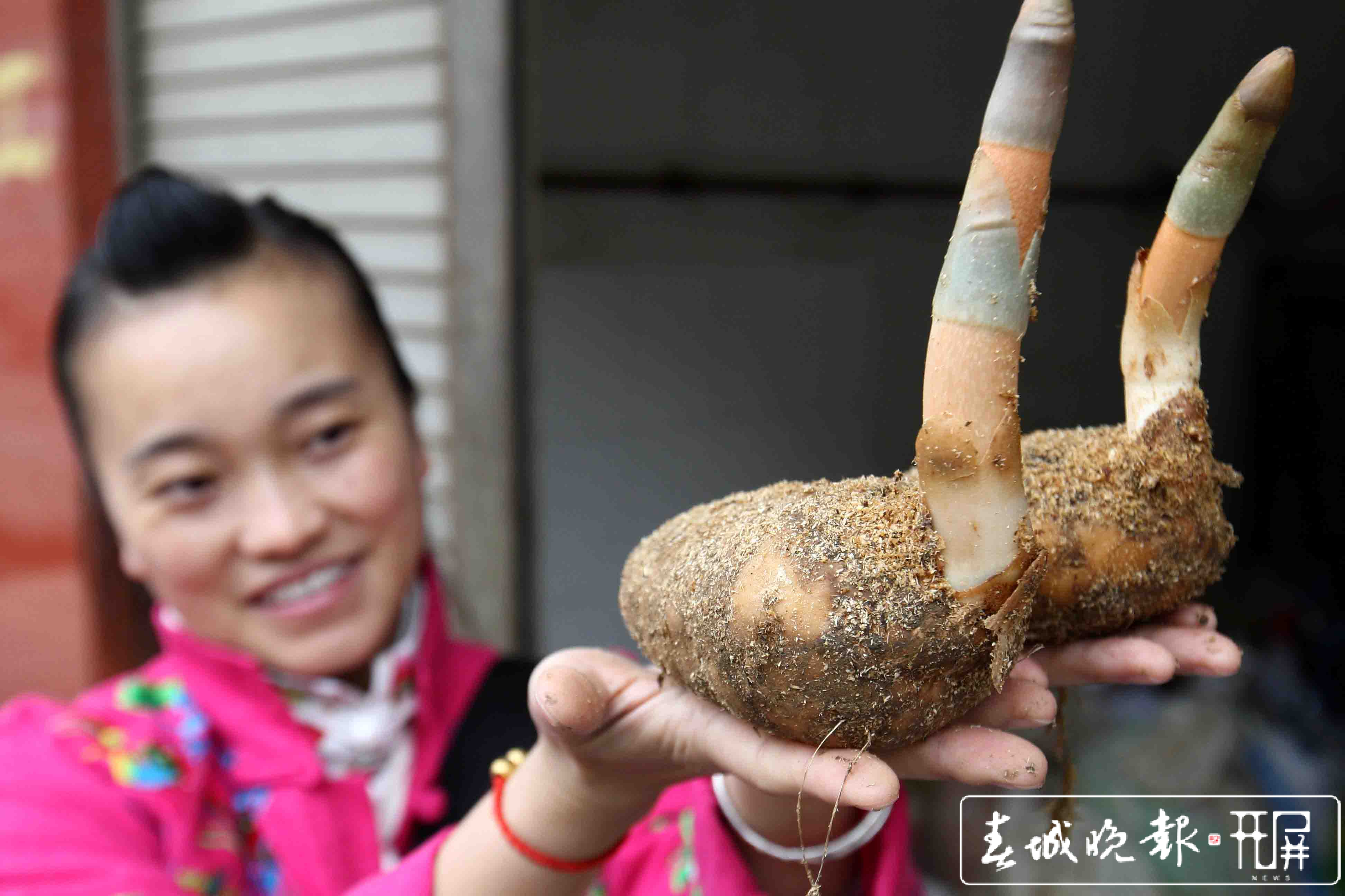 云南好物（云南日报资料图）