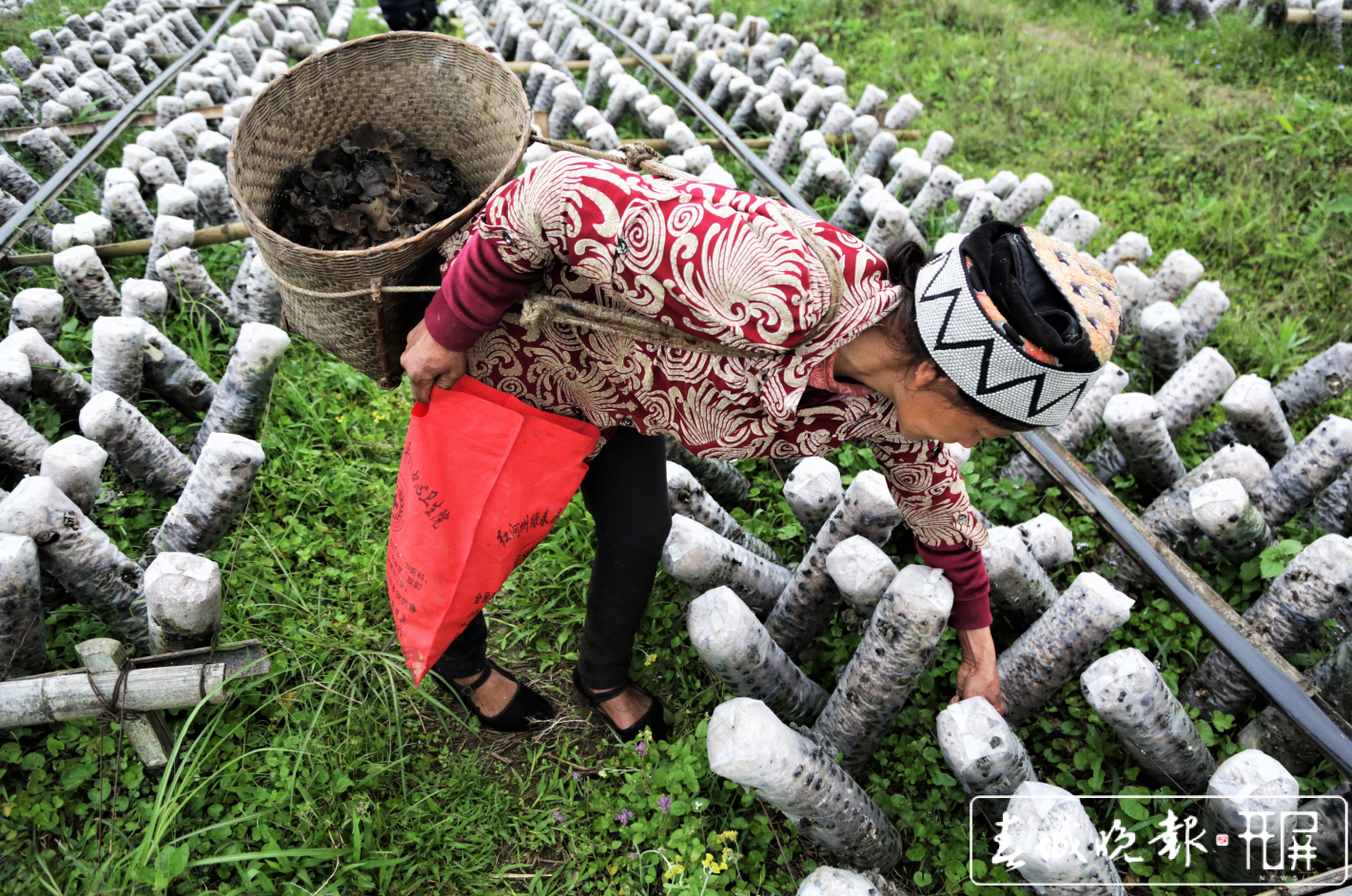 云南好物（云南日报资料图）