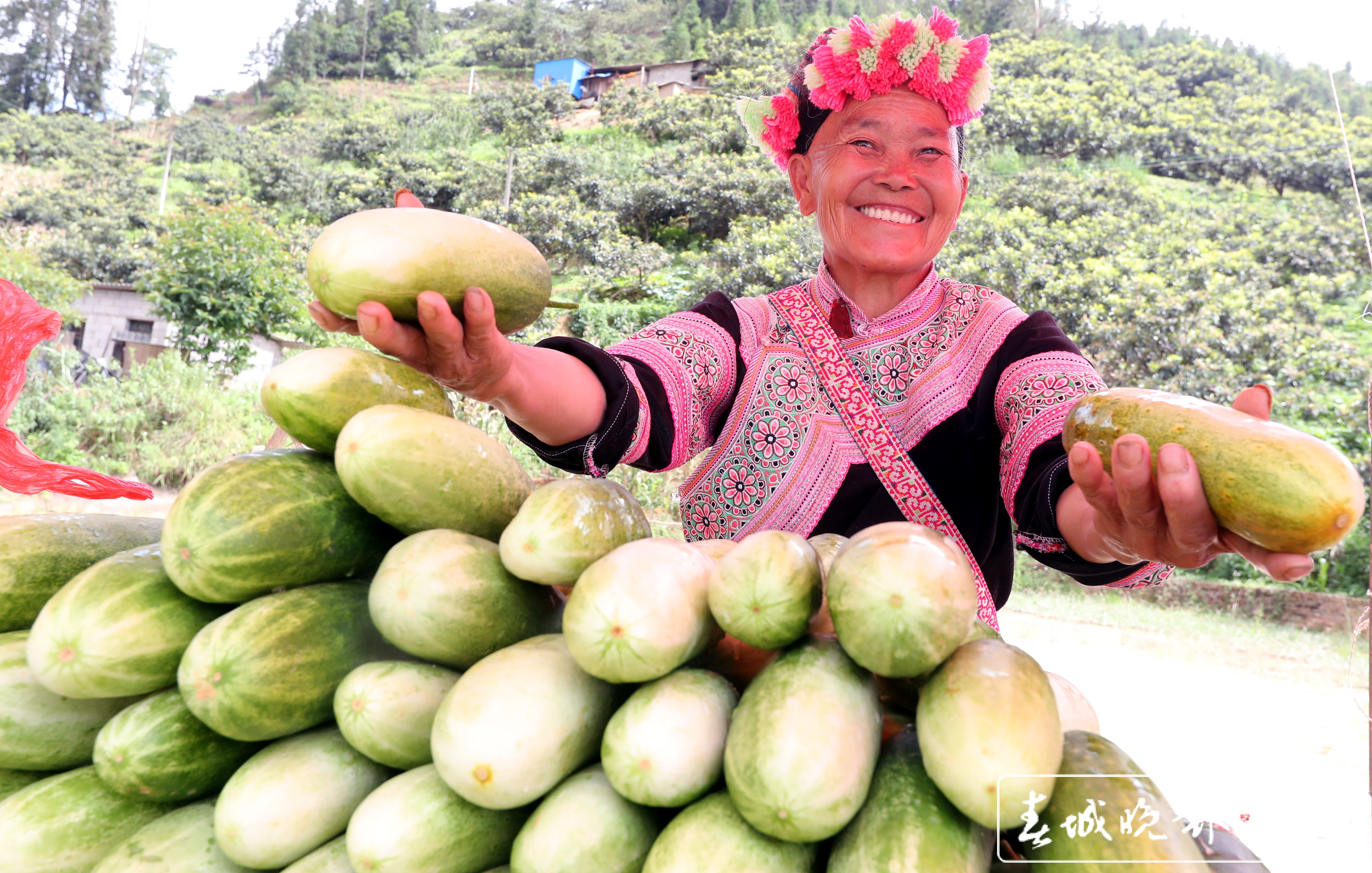 云南好物（云南日报资料图）