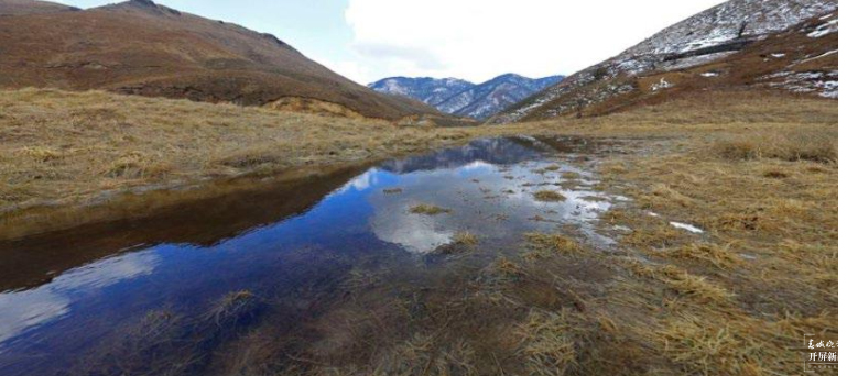 保山香柏场高山草甸（春城晚报-开屏新闻记者 崔敏 通讯员 甘湉 摄）
