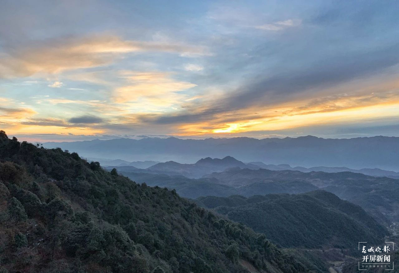 保山香柏场高山草甸（春城晚报-开屏新闻记者 崔敏 通讯员 甘湉 摄）