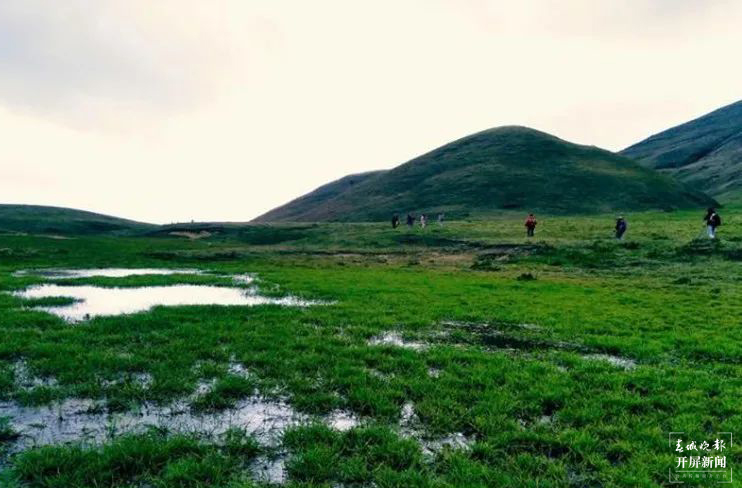 保山香柏场高山草甸（春城晚报-开屏新闻记者 崔敏 通讯员 甘湉 摄）
