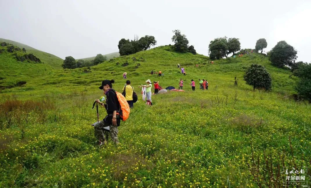 保山香柏场高山草甸（春城晚报-开屏新闻记者 崔敏 通讯员 甘湉 摄）