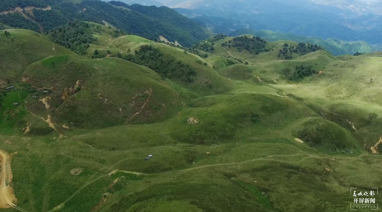 保山香柏场高山草甸（春城晚报-开屏新闻记者 崔敏 通讯员 甘湉 摄）