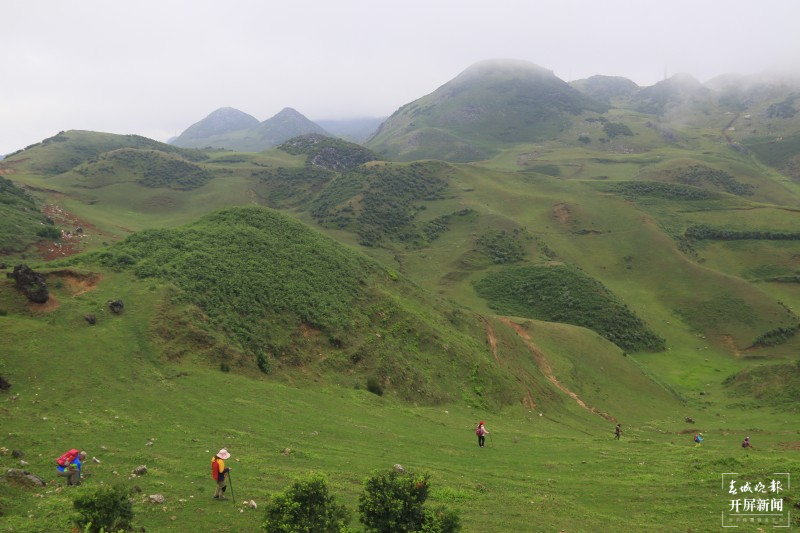 开屏云游 | 奇山怪石、云遮雾绕，美到骨子里的玉溪华宁么波冲 李春丽 通讯员 张艳艳 摄