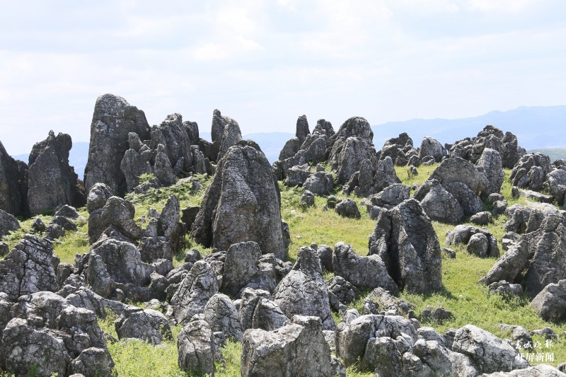 开屏云游 | 奇山怪石、云遮雾绕，美到骨子里的玉溪华宁么波冲 李春丽 通讯员 张艳艳 摄
