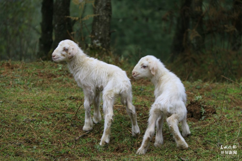开屏云游 | 奇山怪石、云遮雾绕，美到骨子里的玉溪华宁么波冲 李春丽 通讯员 张艳艳 摄