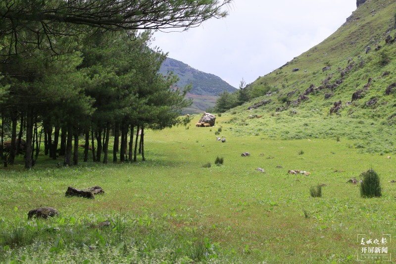开屏云游 | 奇山怪石、云遮雾绕，美到骨子里的玉溪华宁么波冲 李春丽 通讯员 张艳艳 摄