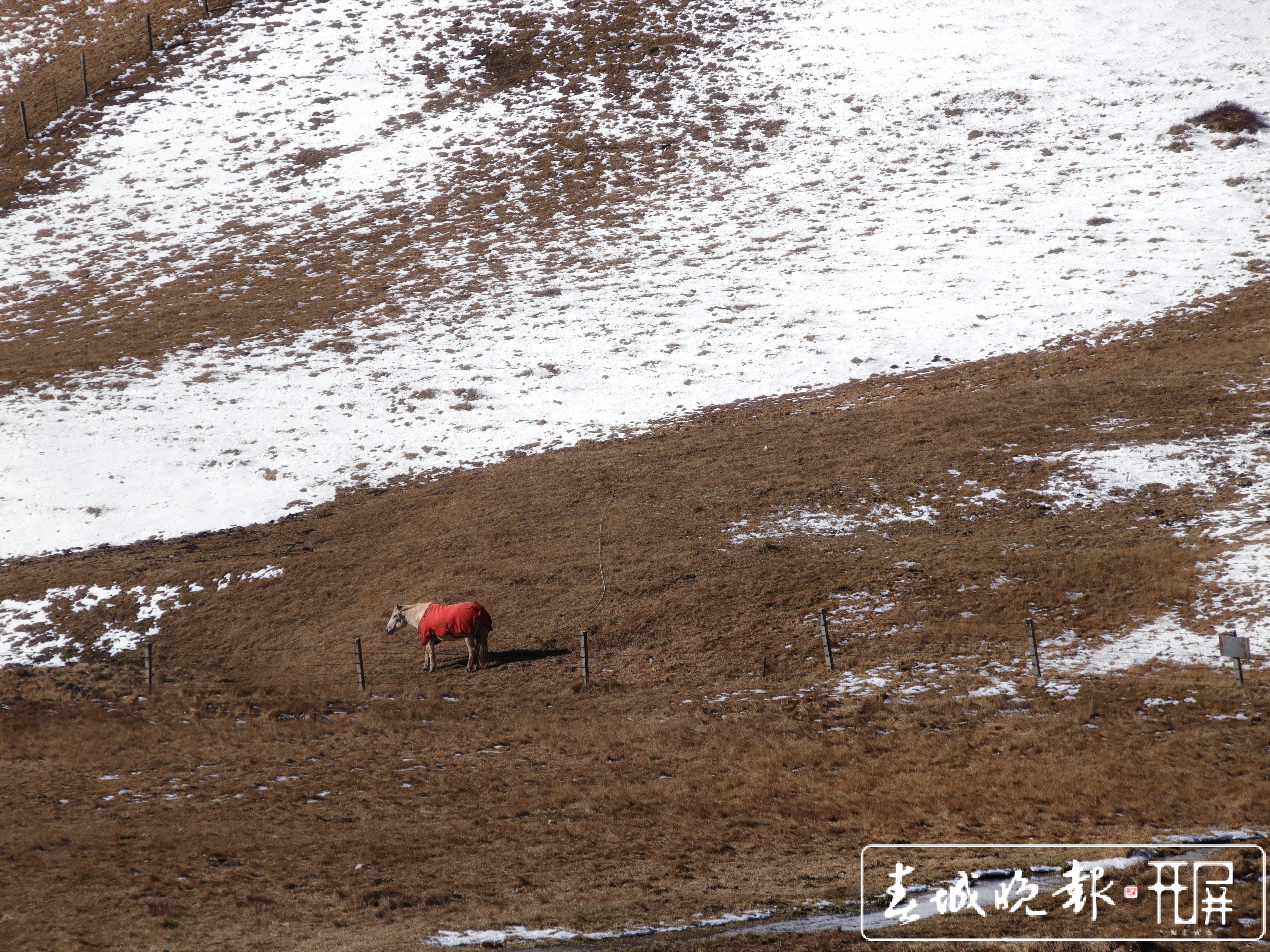 会泽草山：一个能尽情赏雪、玩雪的地方5.jpg