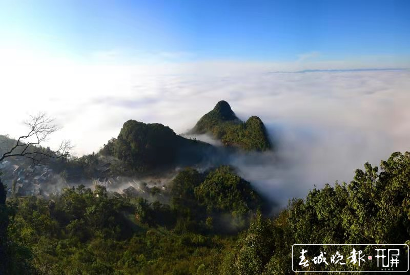 云南罗平踏山看云，这里壮美云海宛若人间仙境（记者：蒋琼波 通讯员：毛虹 摄影报道）