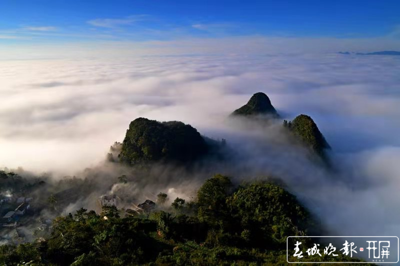 云南罗平踏山看云，这里壮美云海宛若人间仙境（记者：蒋琼波 通讯员：毛虹 摄影报道）