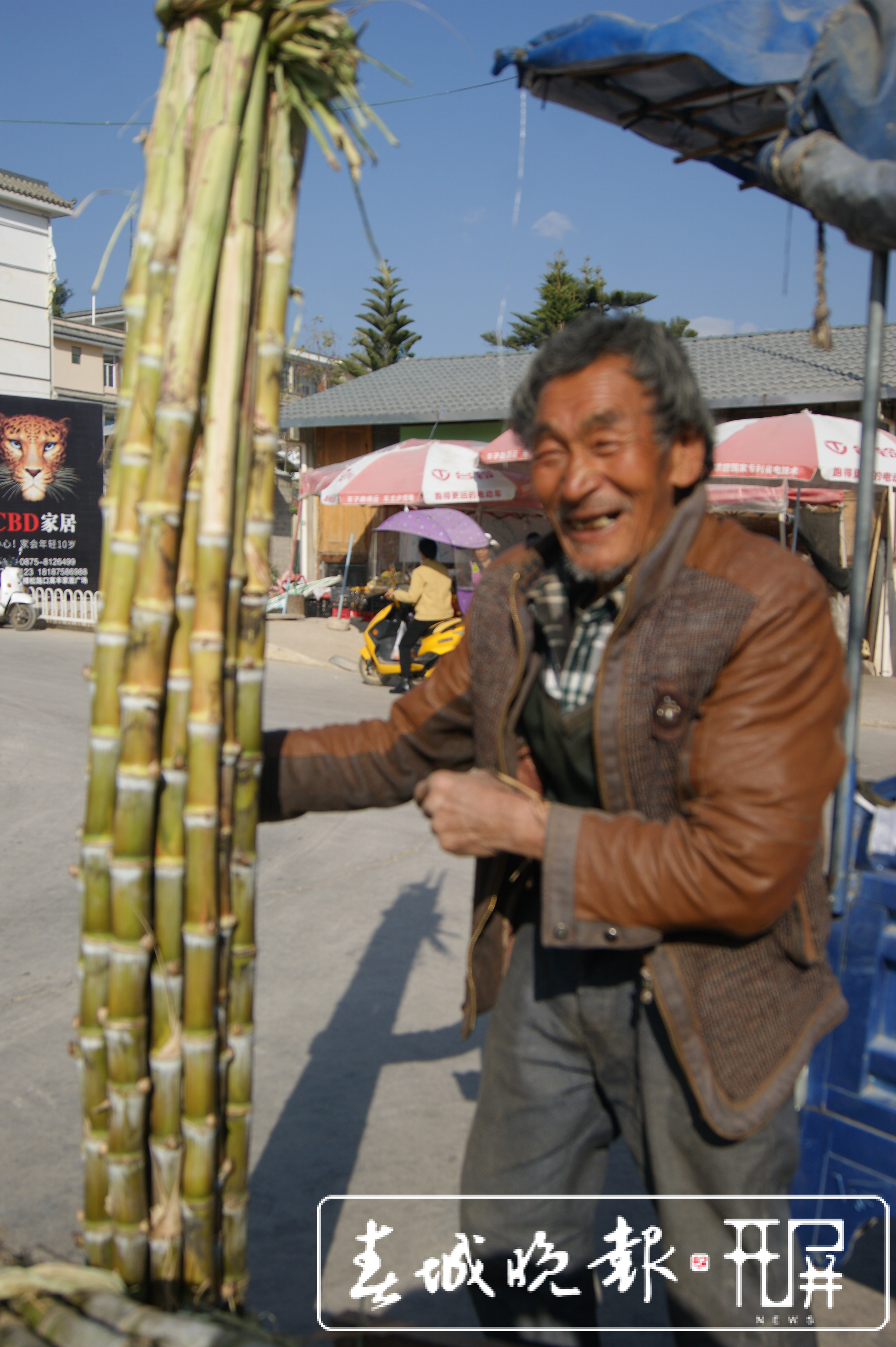 施甸：过年了 一起“刳”甘蔗克.jpg