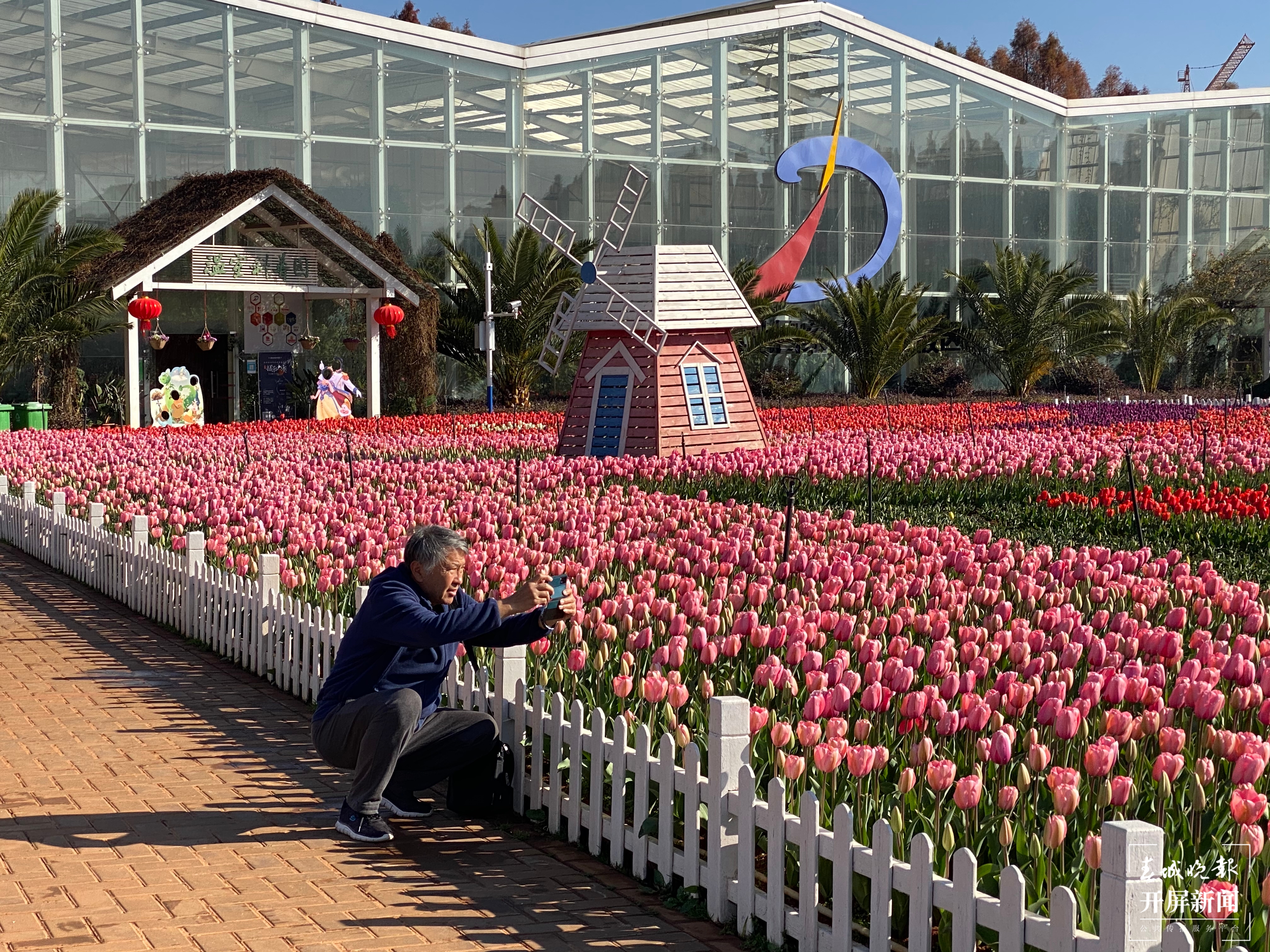 2021年捞渔河郁金香花展开幕，预计花期持续至3月中旬