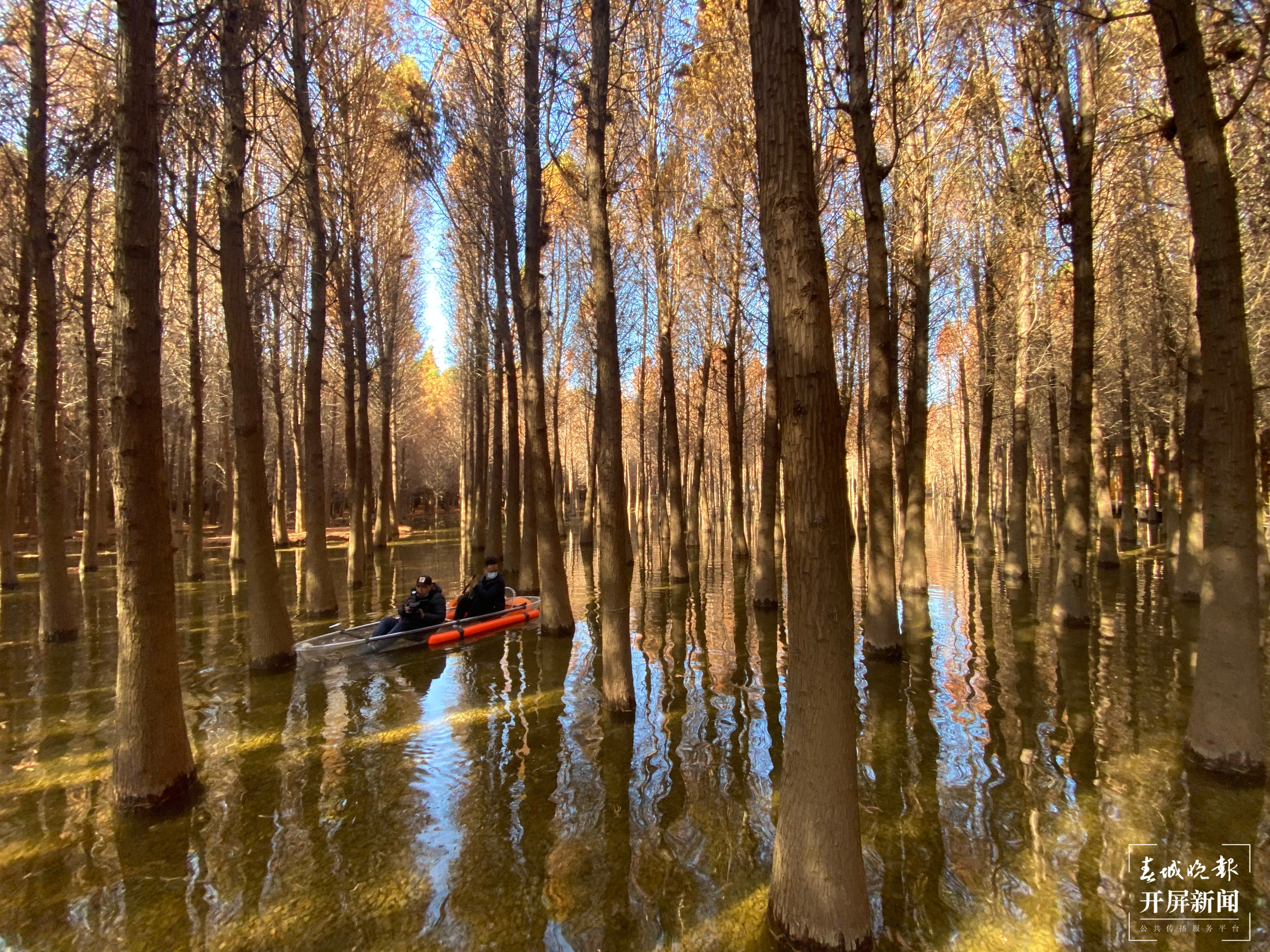 2021年捞渔河郁金香花展开幕，预计花期持续至3月中旬