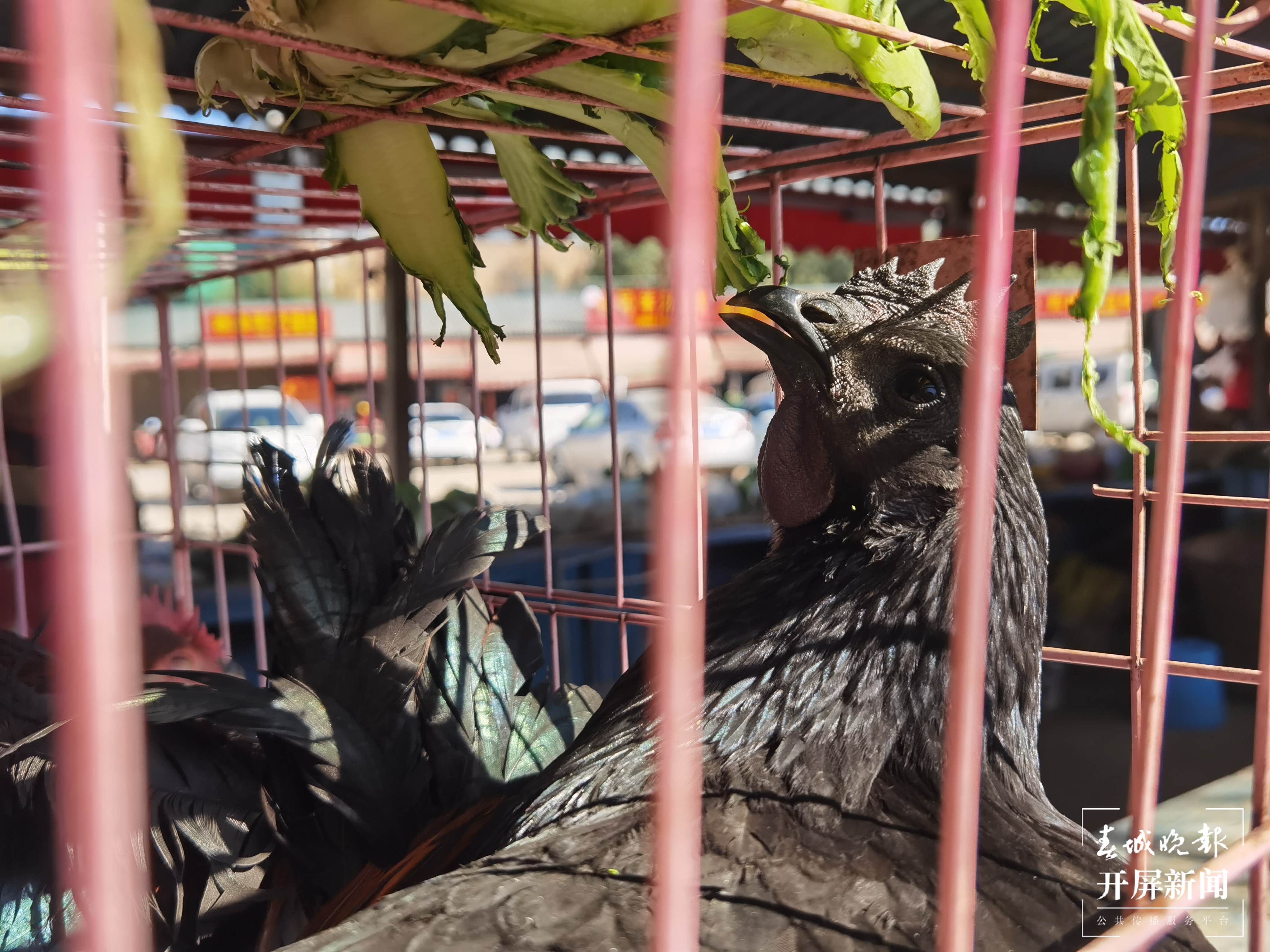 就地过年 | 赶赶“乡街子”,体会不一样的乡土年味