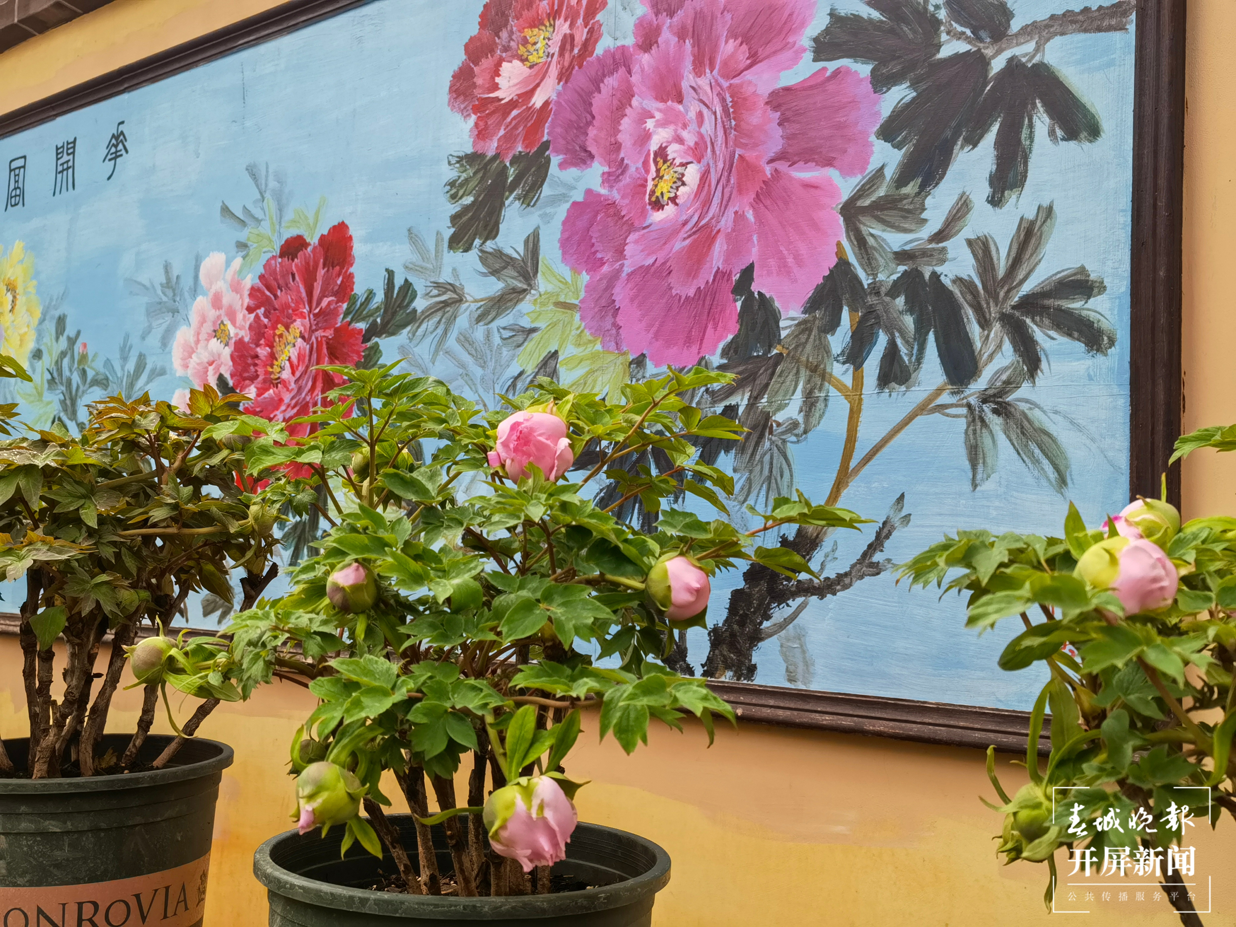 昆明各大公园（供图）