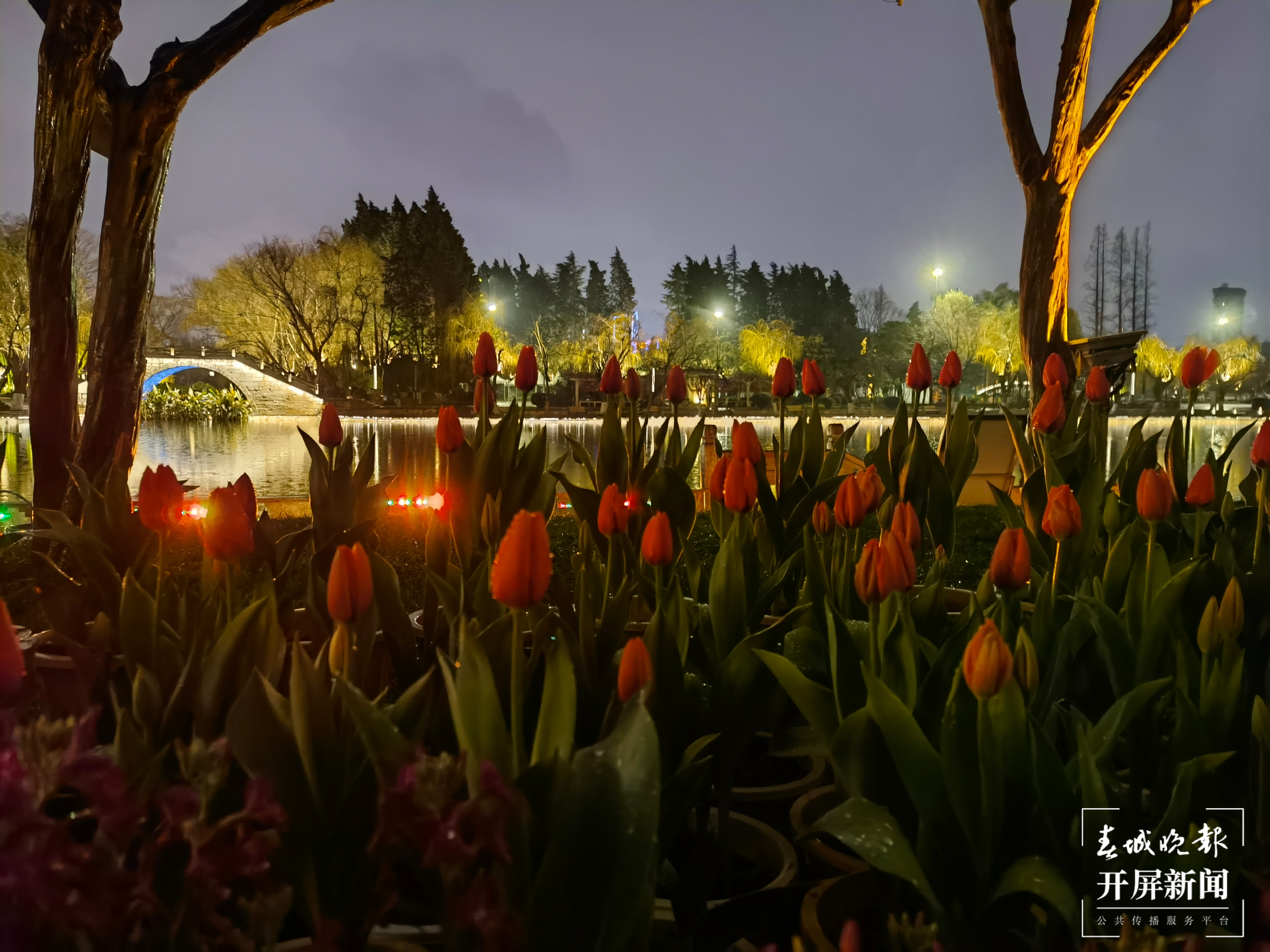 昆明各大公园（供图）