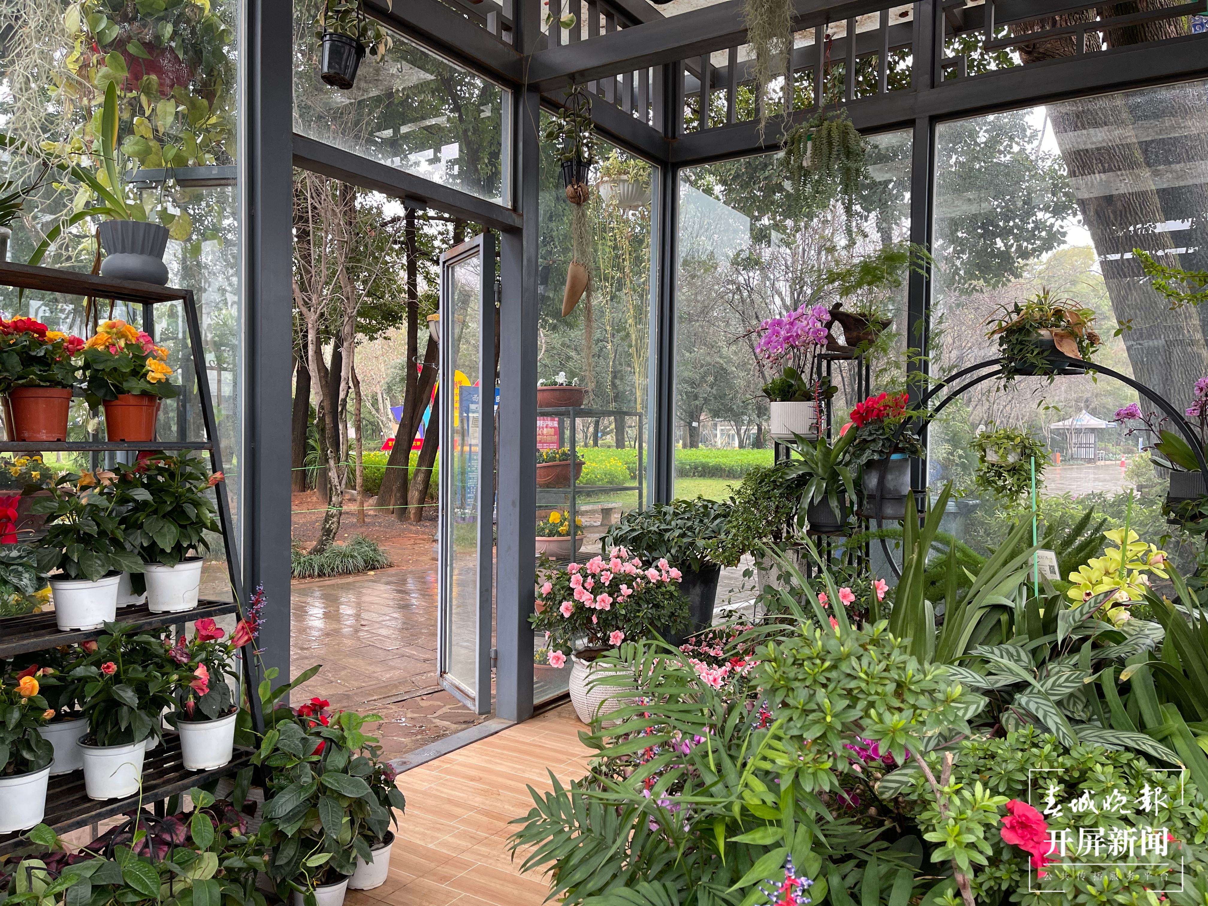 昆明各大公园（供图）