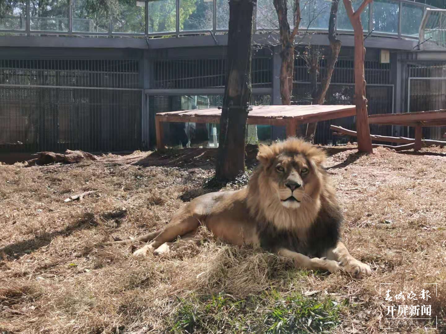 昆明各大公园（供图）