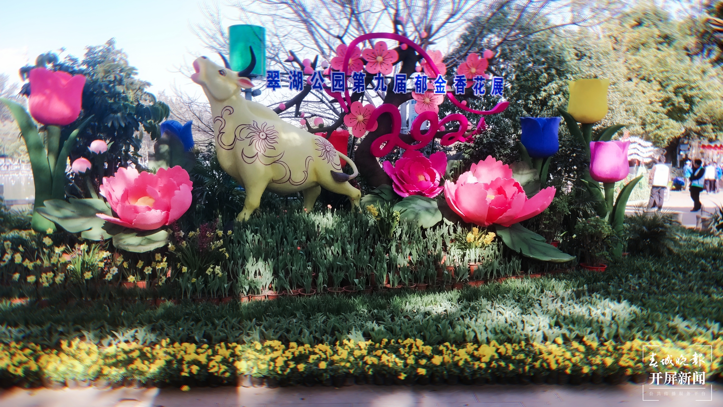 昆明各大公园（供图）