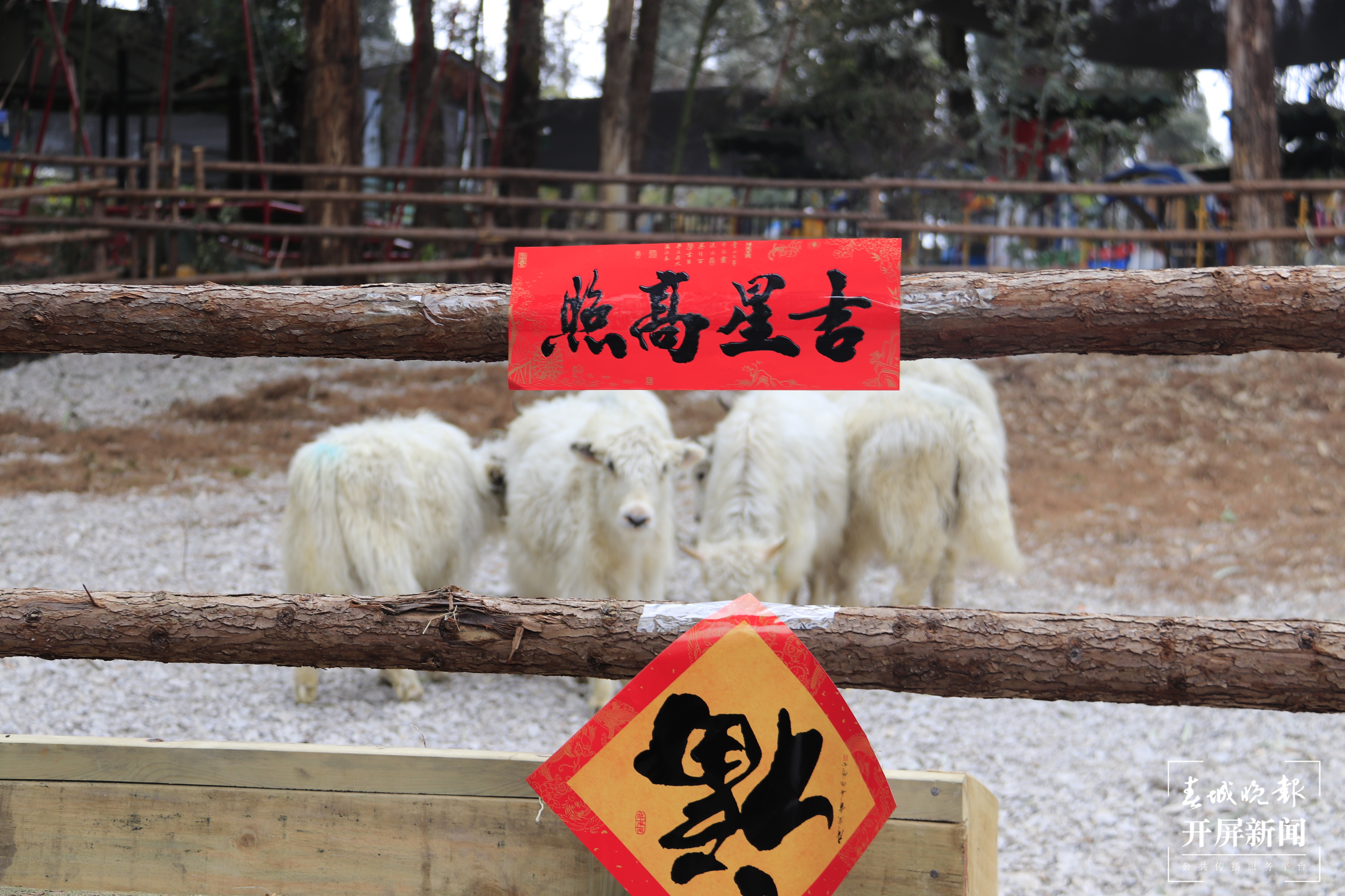 昆明各大公园（供图）