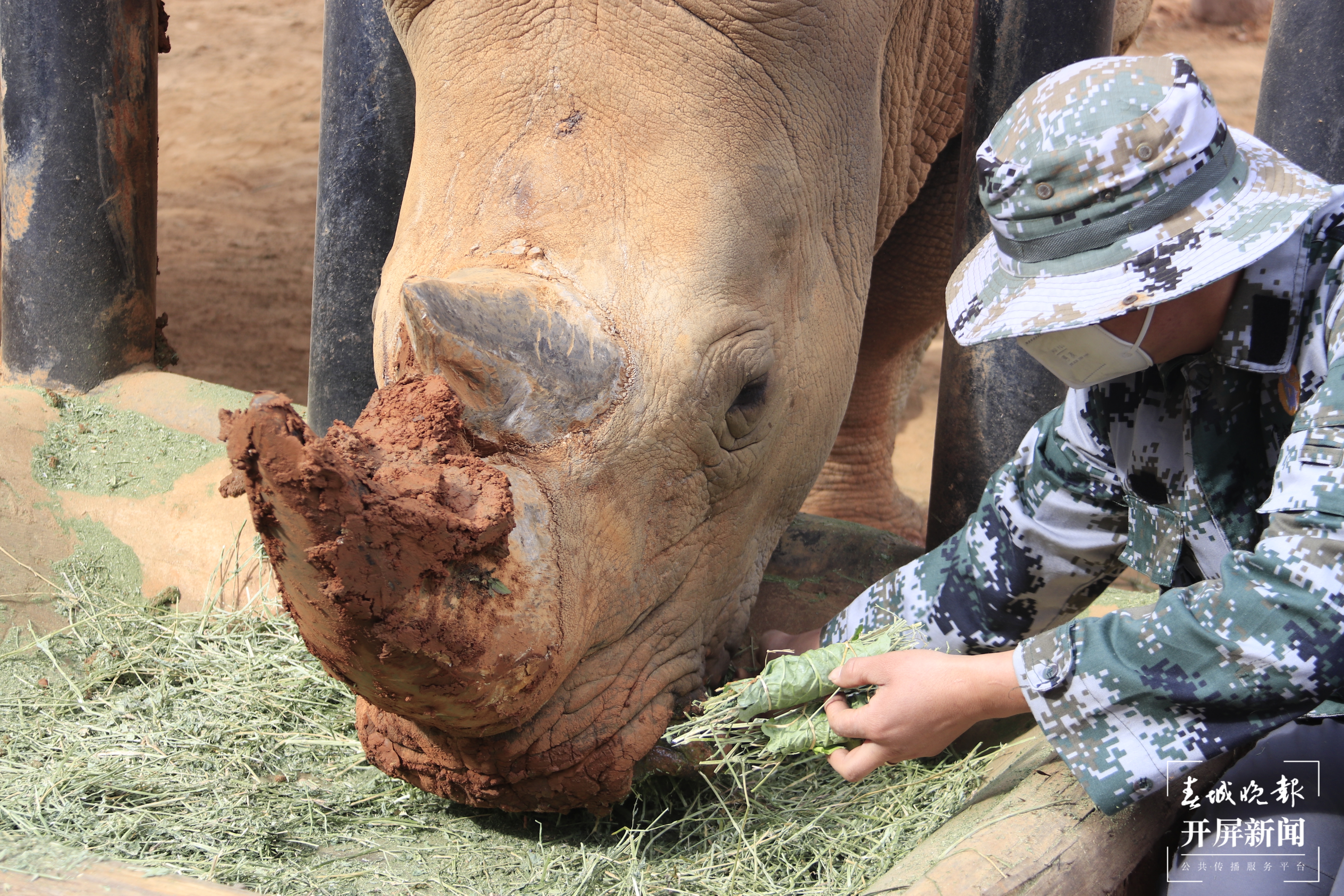 昆明各大公园（供图）