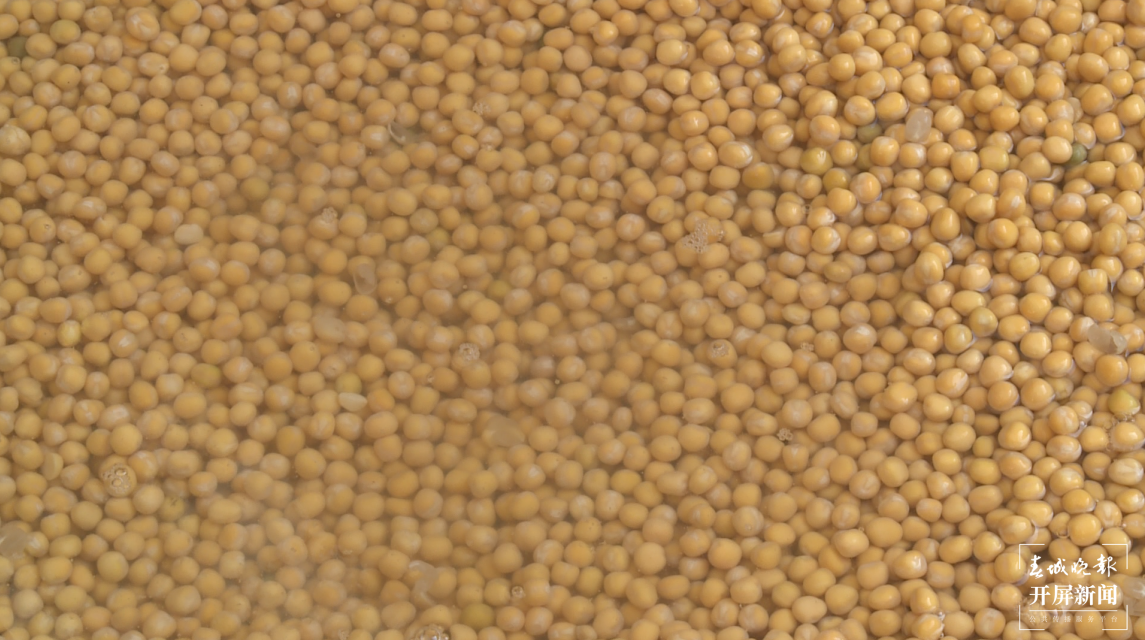 保山昌宁豆糖(春城晚报-开屏新闻记者 崔敏 通讯员 杞艳芹 杨军 罗宁姣 肖月 摄)