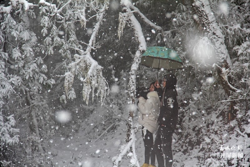 保山昌宁：佳节前天堂山喜迎飘雪 通讯员 高雪燕 李海燕 李杨 摄