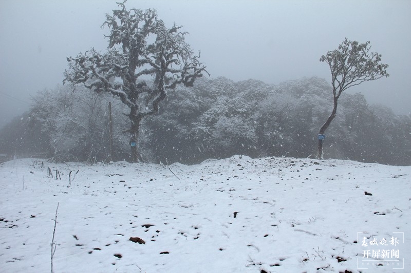 保山昌宁：佳节前天堂山喜迎飘雪 通讯员 高雪燕 李海燕 李杨 摄