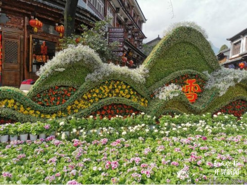 万盆鲜花筑成“风花雪月”，大理古城年味浓！  秦蒙琳 通讯员 张艳辉 高健 陈兴福 摄