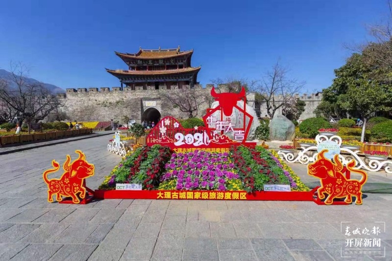 万盆鲜花筑成“风花雪月”，大理古城年味浓！  秦蒙琳 通讯员 张艳辉 高健 陈兴福 摄