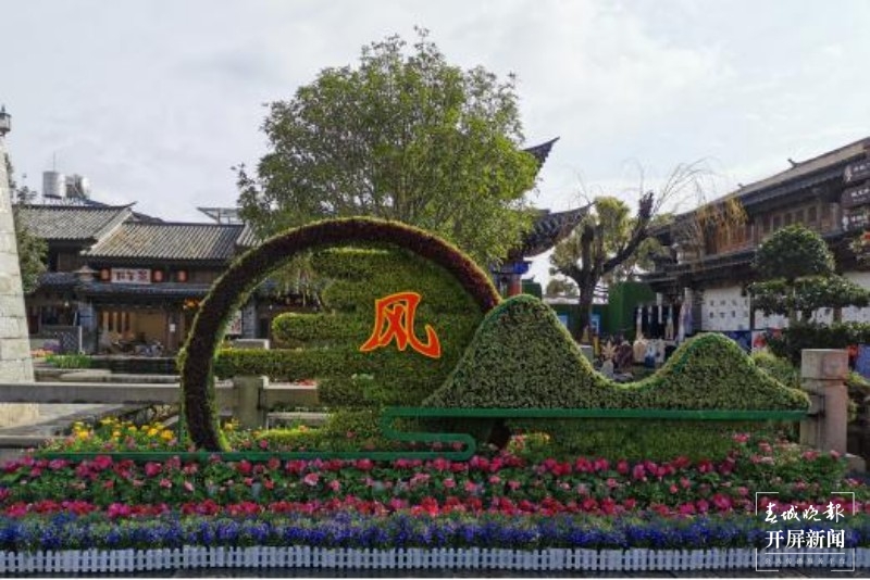 万盆鲜花筑成“风花雪月”，大理古城年味浓！  秦蒙琳 通讯员 张艳辉 高健 陈兴福 摄