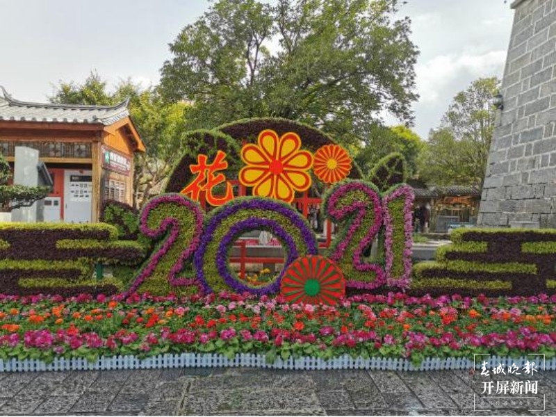 万盆鲜花筑成“风花雪月”，大理古城年味浓！  秦蒙琳 通讯员 张艳辉 高健 陈兴福 摄