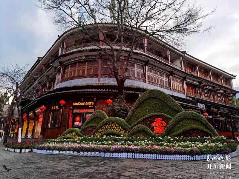 万盆鲜花筑成“风花雪月”，大理古城年味浓！  秦蒙琳 通讯员 张艳辉 高健 陈兴福 摄