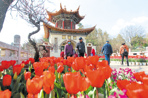 “就地过年”催热昆明本地游（图据昆明日报）