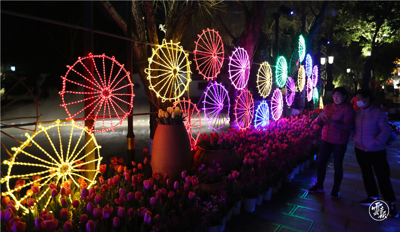 昆明大观公园夜景