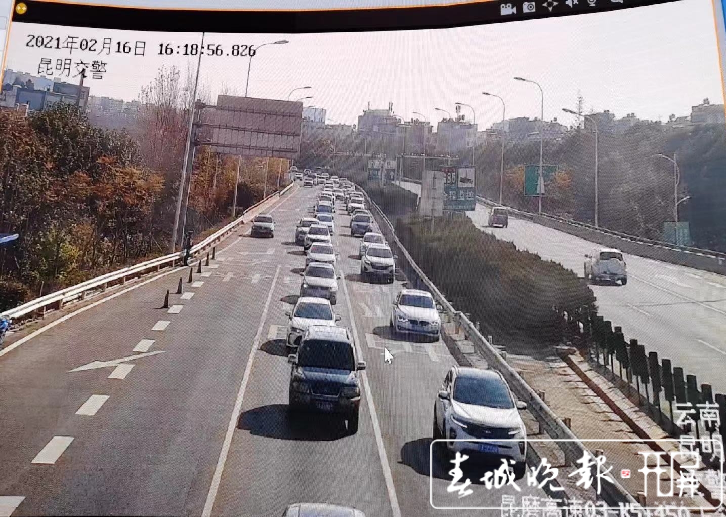 假期余额不足 昆明公园及景区游客依然较多 市民出行请做好路线规划 (4).jpg