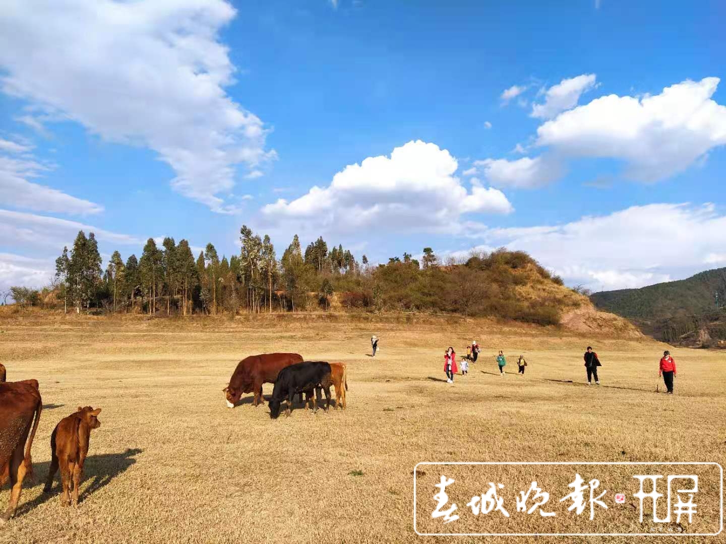 曲靖：部分水库蓄水不足，人畜饮水暂无特别困难