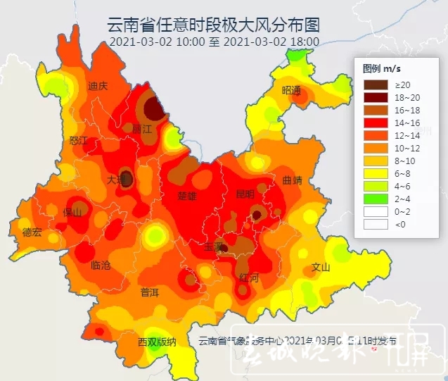 又到大风四起的季节 小心风吹落物1.webp.jpg