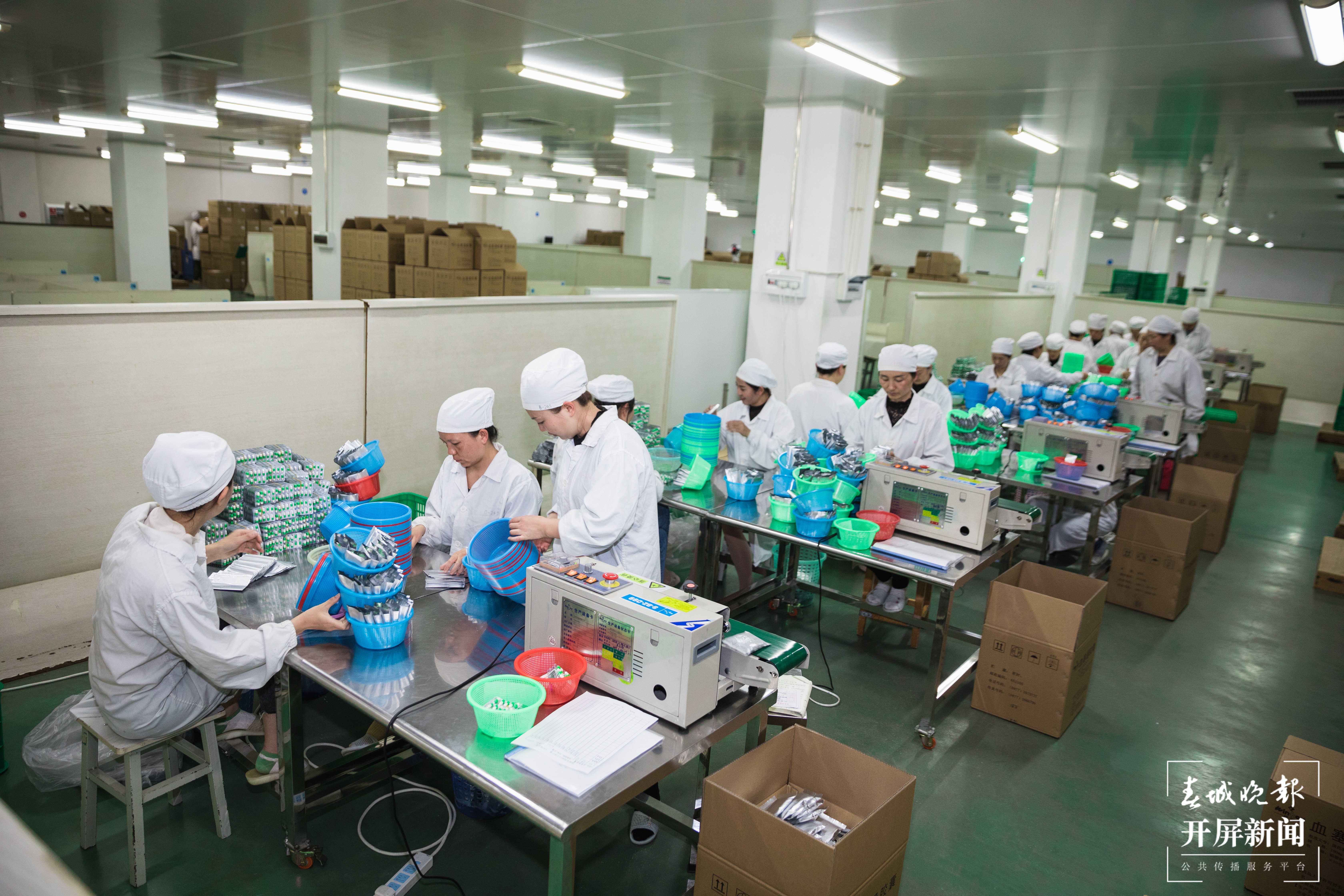 维和制药包装车间 工人快速装袋 邓星瑞摄.JPG