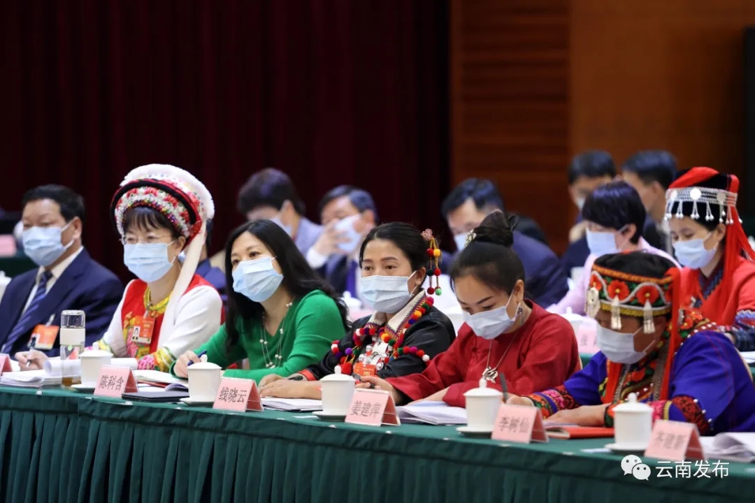 云南省代表团举行全体会议审查“十四五”规划和2035年远景目标纲要草案