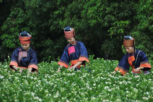 云报头条丨 看名企名品故事，聚焦“企业帮 乡村兴”的“玉溪之变”